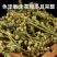 赶黄草中草药干货四川赶黄草整株完整泡茶护肝草大量现货有