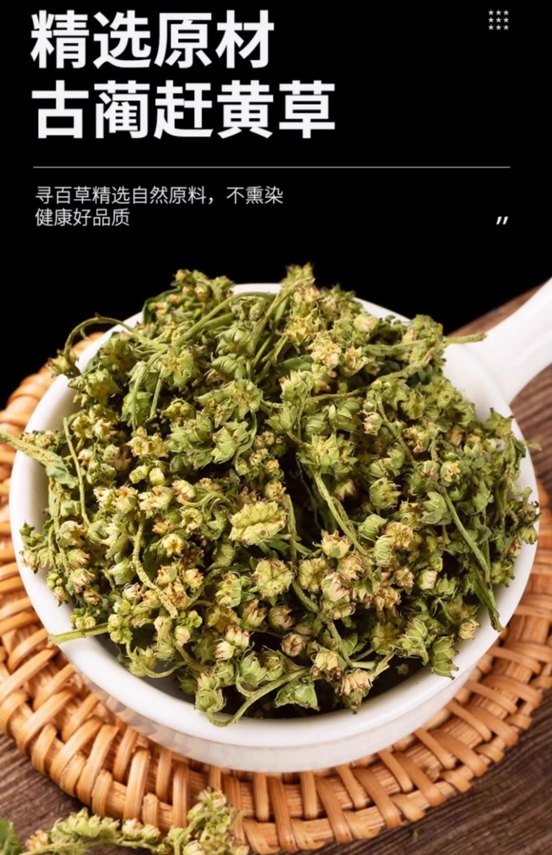 赶黄草中草药干货四川赶黄草整株完整泡茶护肝草大量现货有