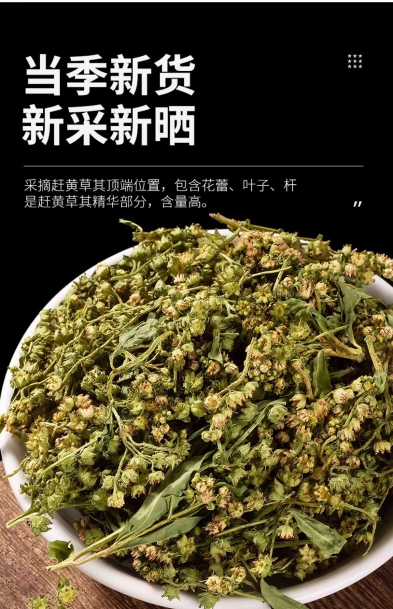 赶黄草中草药干货四川赶黄草整株完整泡茶护肝草大量现货有