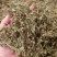 赶黄草中草药干货四川赶黄草整株完整泡茶护肝草大量现货有