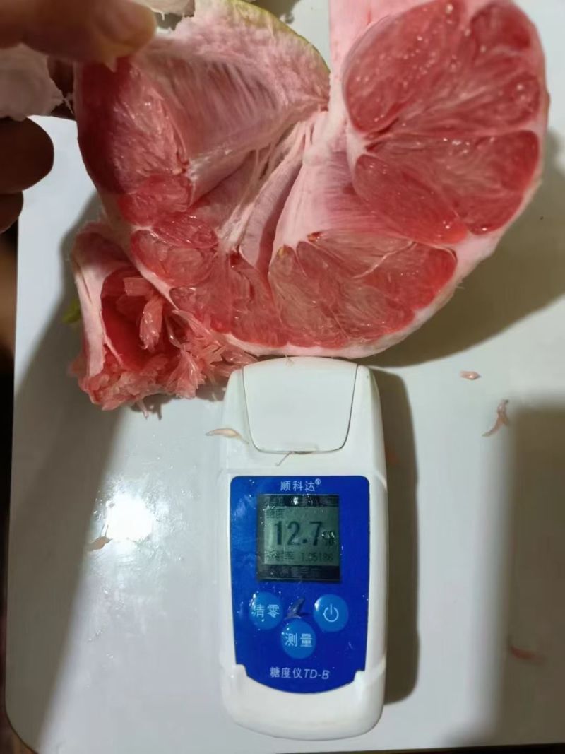 福建平和琯溪蜜柚市场货电商货应有尽有