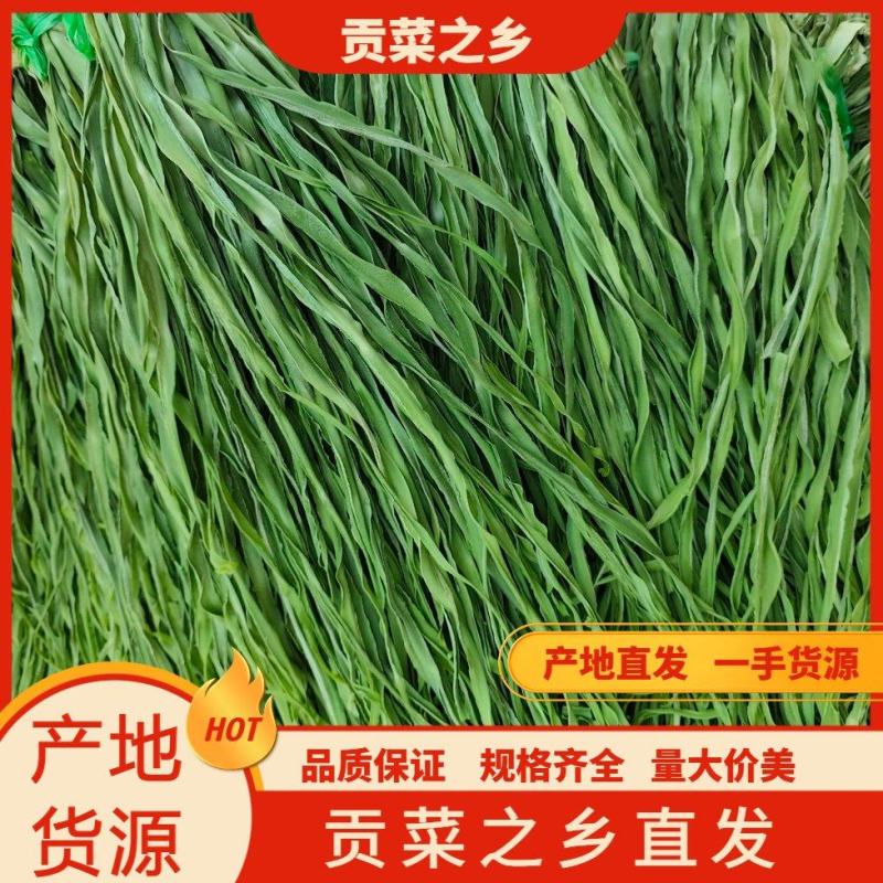 精品贡菜健康绿色全年大量有货贡菜之乡原产地供应