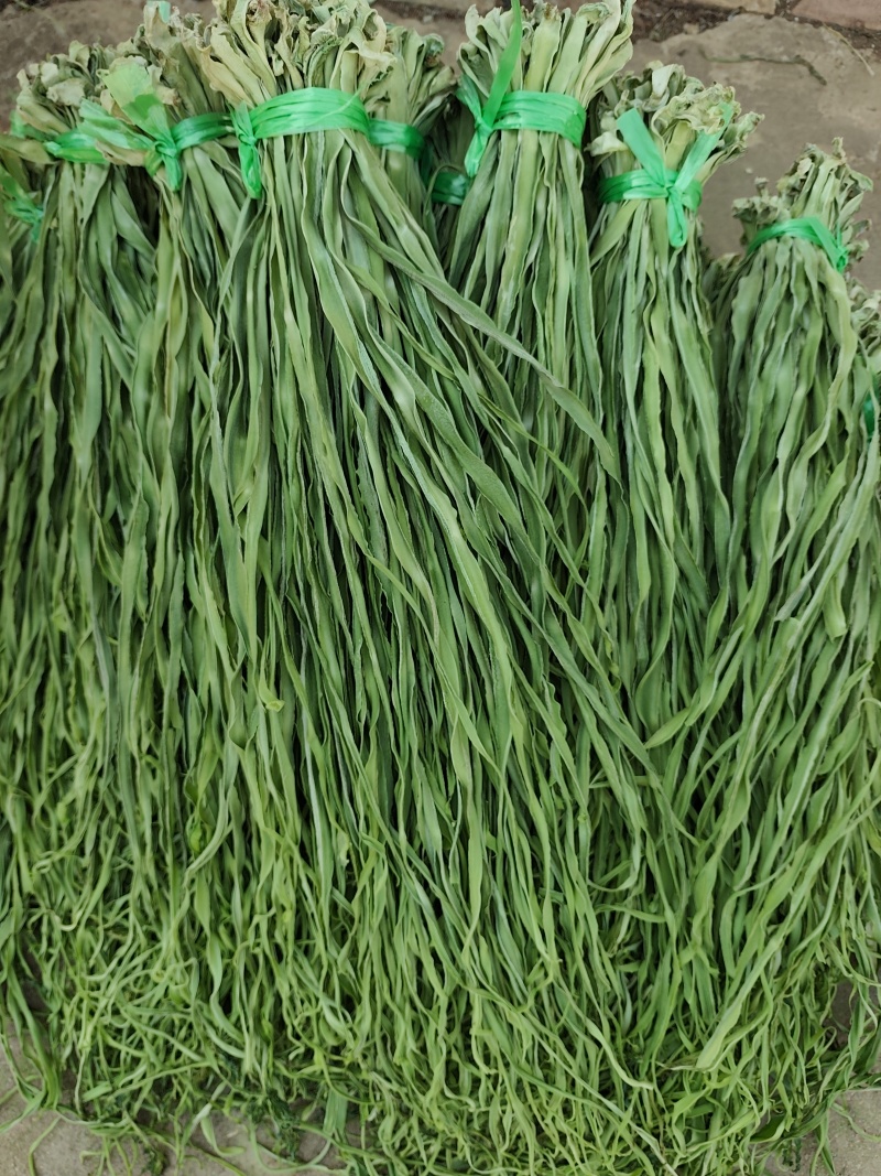 精品贡菜健康绿色全年大量有货贡菜之乡原产地供应