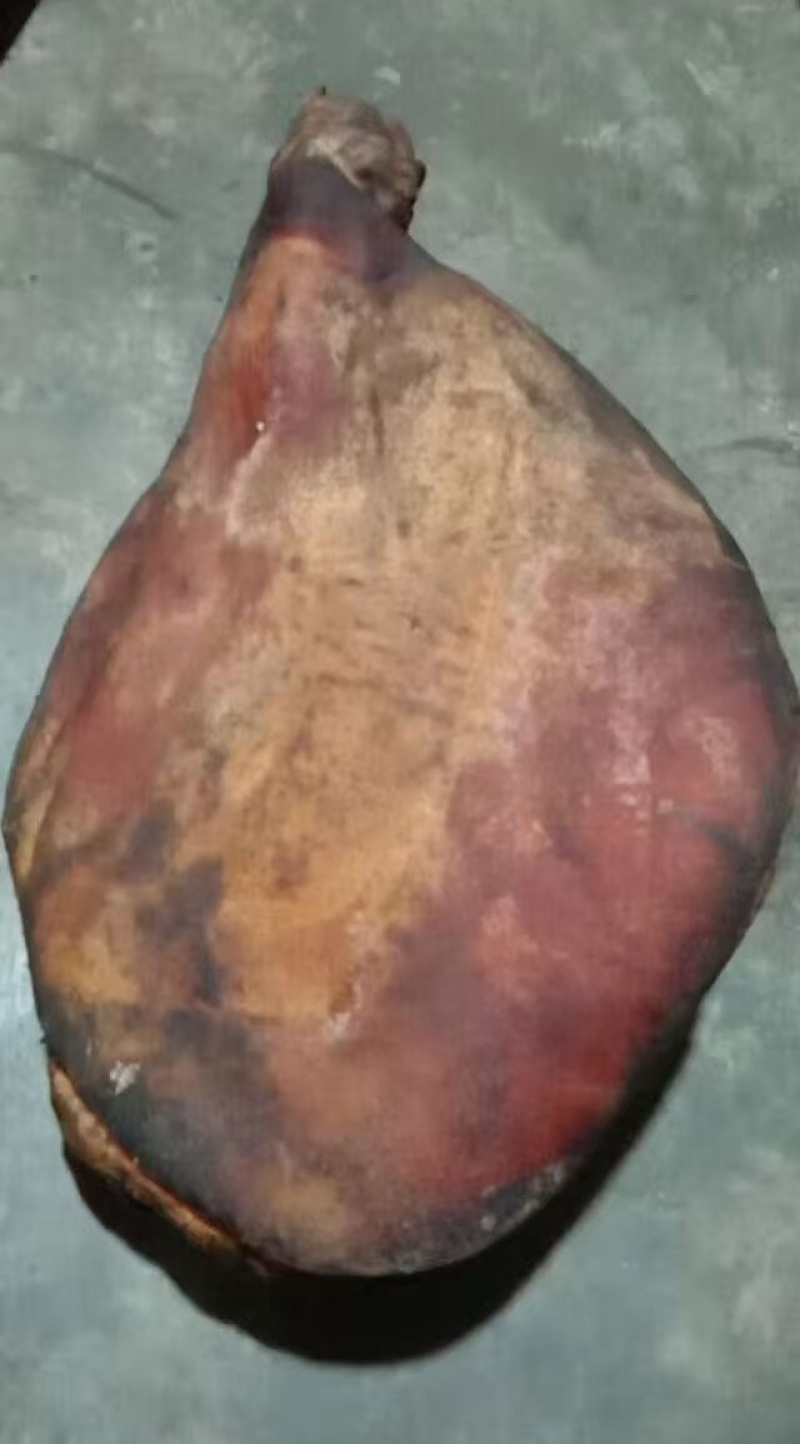 【火腿】长期供应，一手货源，保质保量，可视频看货，诚信经营