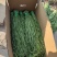 贡菜干爽脆可口健康绿色全年大量供应贡菜之乡直发