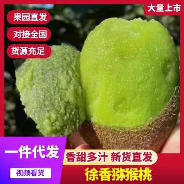 【一件代发】徐香猕猴桃陕西产地自选批发零售可对接全国市场