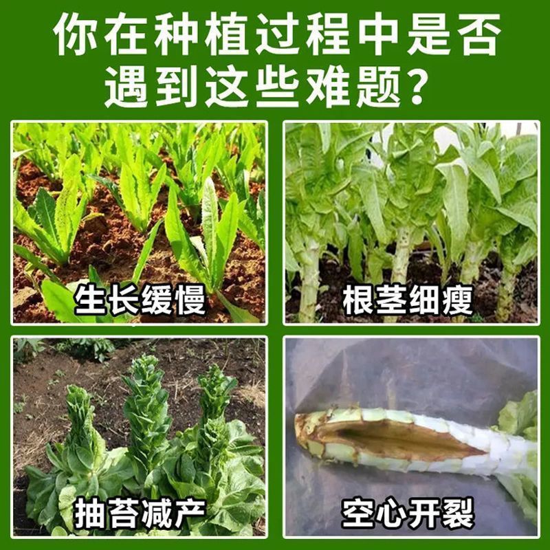 莴笋粗嫩壮叶面肥增粗剂贡菜专用防空心防抽苔膨大拉长剂防裂