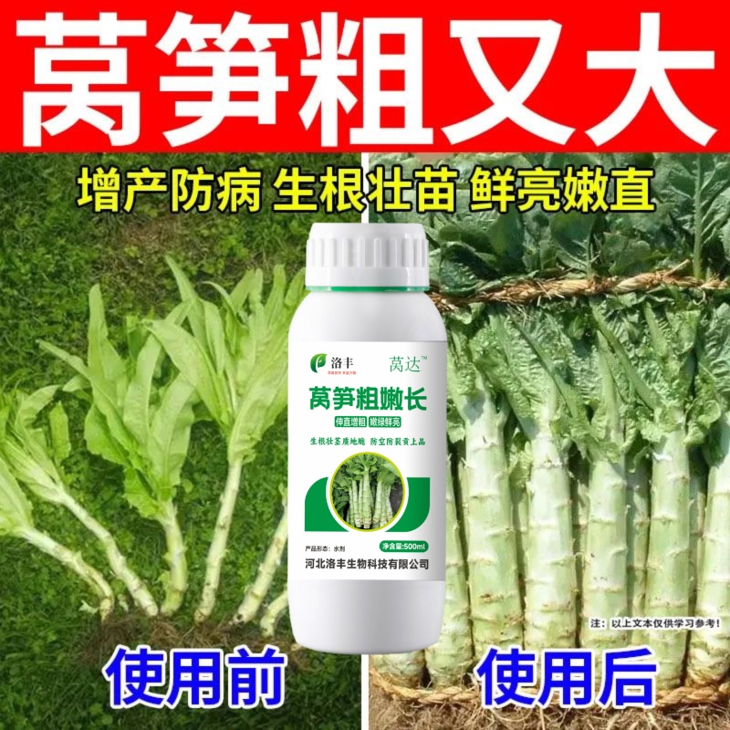 莴笋粗嫩壮叶面肥增粗剂贡菜专用防空心防抽苔膨大拉长剂防裂