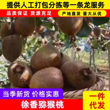 【徐香猕猴桃】陕西产地现摘现发品质保障量大从优可视频看货