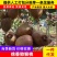 【徐香猕猴桃】陕西产地现摘现发品质保障量大从优可视频看货