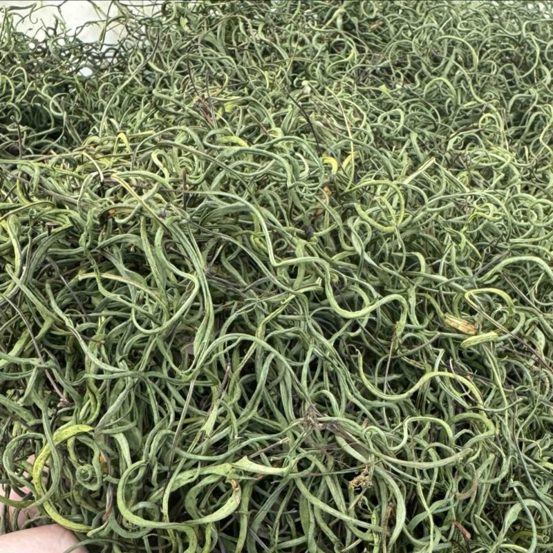 纯正长白山本地肾精茶