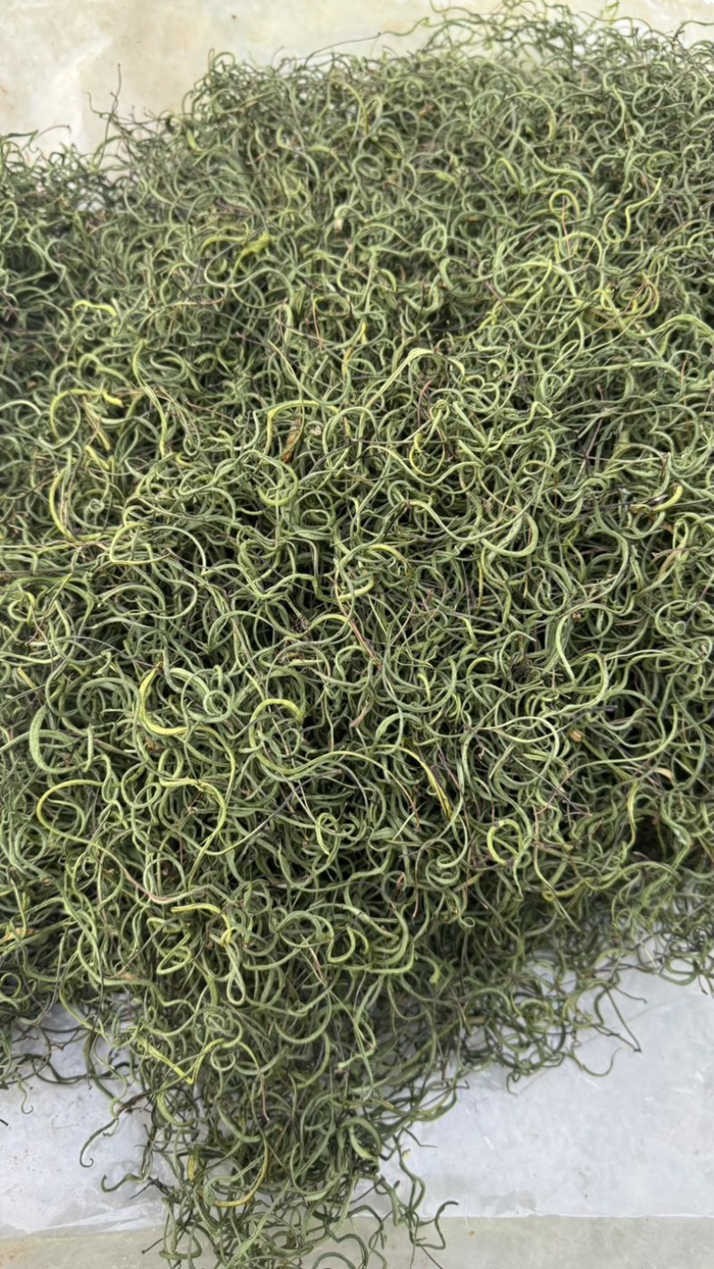 纯正长白山本地肾精茶