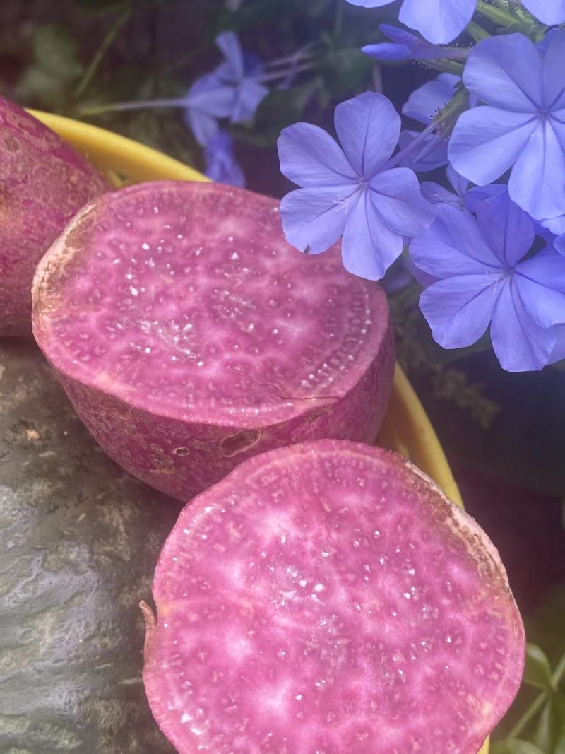蜜糖紫薯