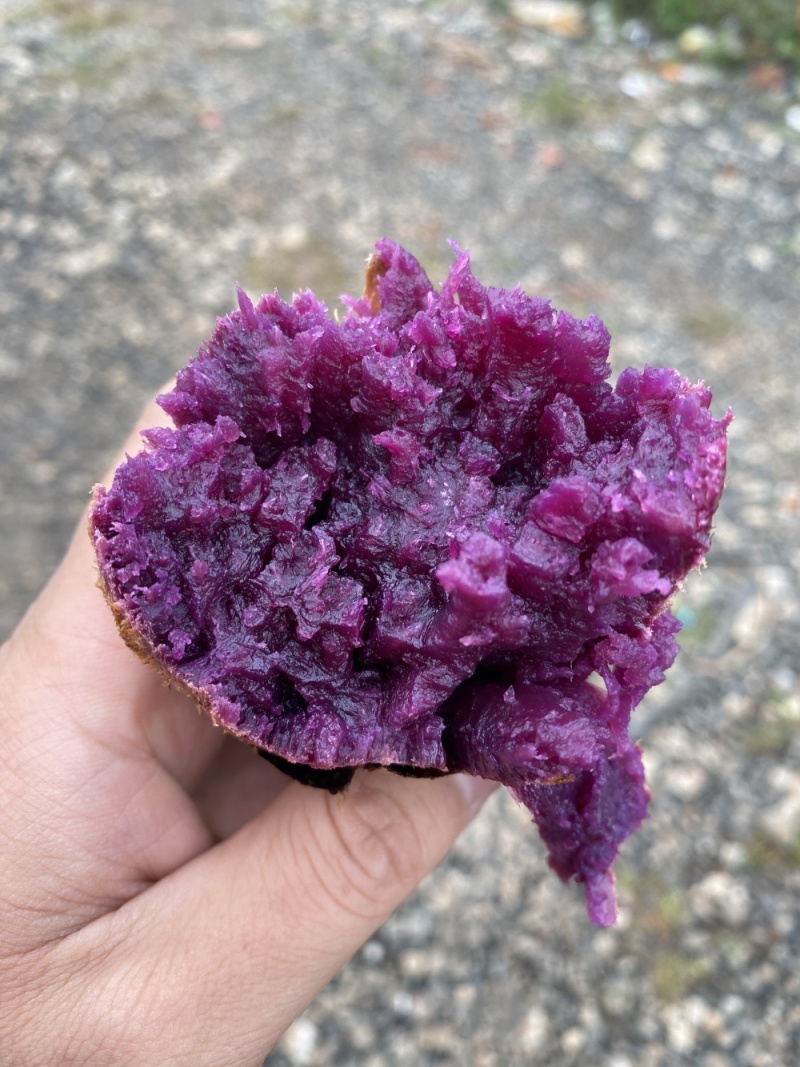 蜜糖紫薯