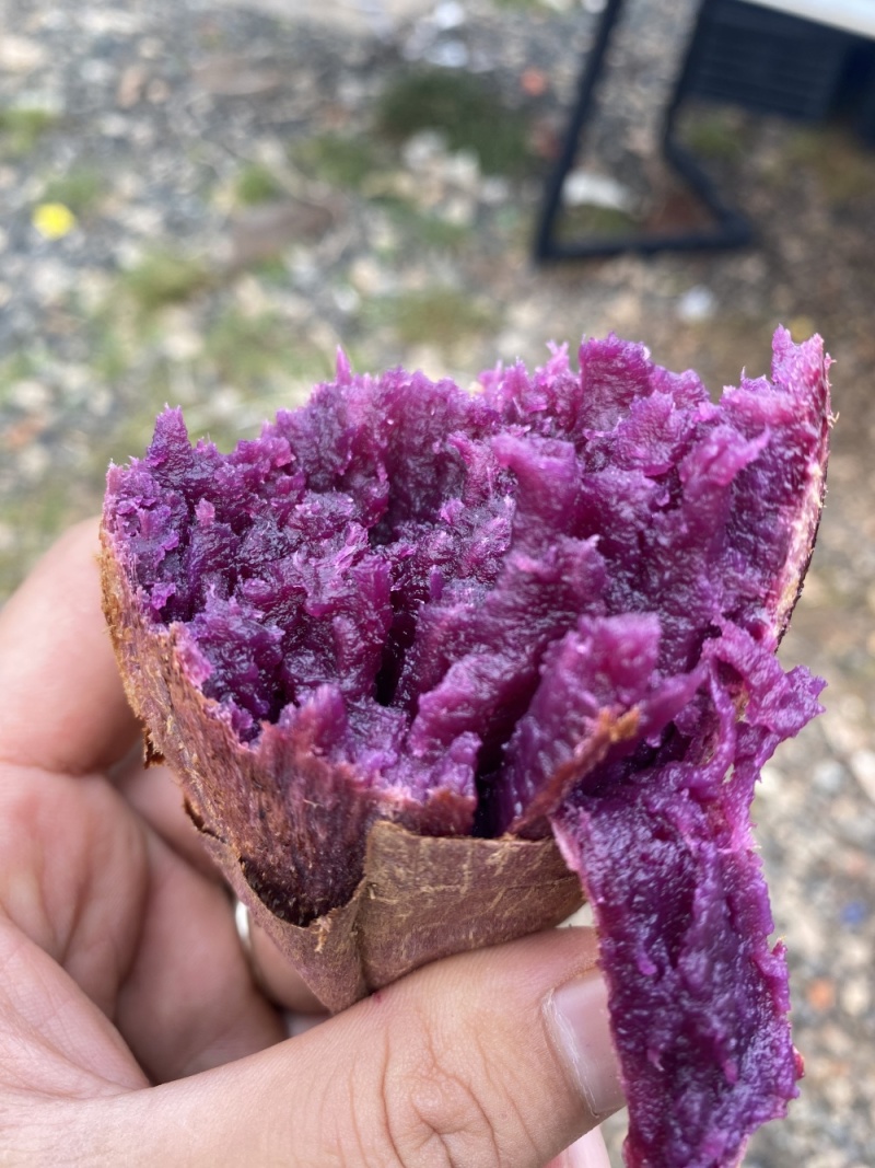 蜜糖紫薯