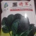 高端黑将军菠菜种子大量现货供应需要的联系支持物流发货