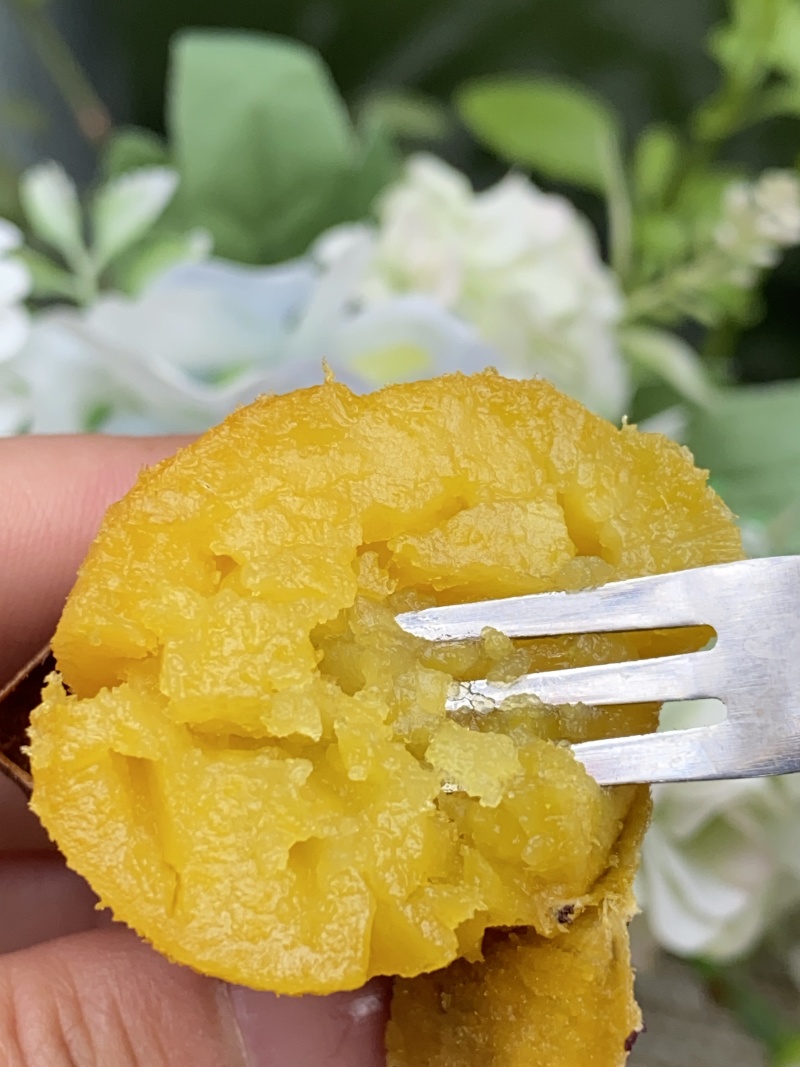塔塔蜜蜜薯