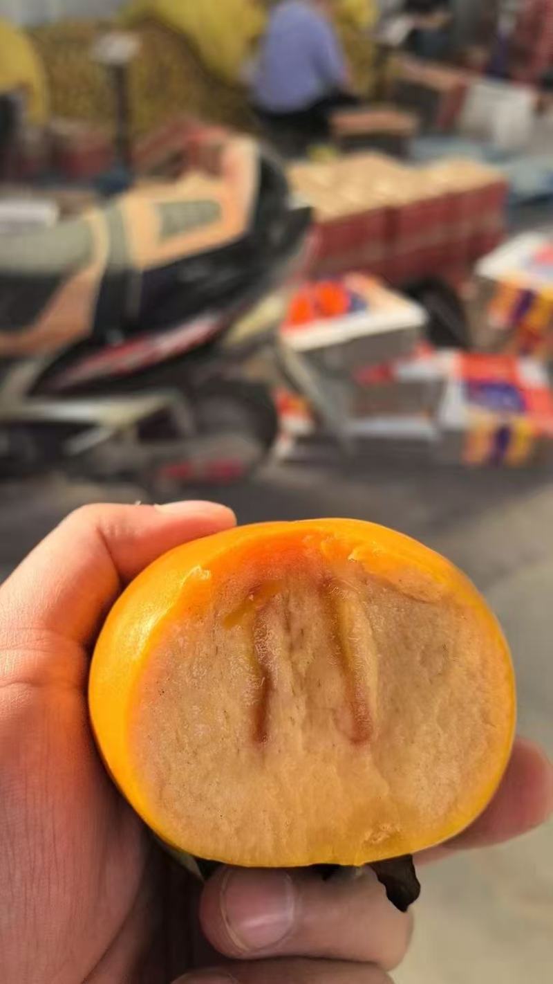 山西运城脆柿子大量上市/精品脆柿子产地直发量大优惠