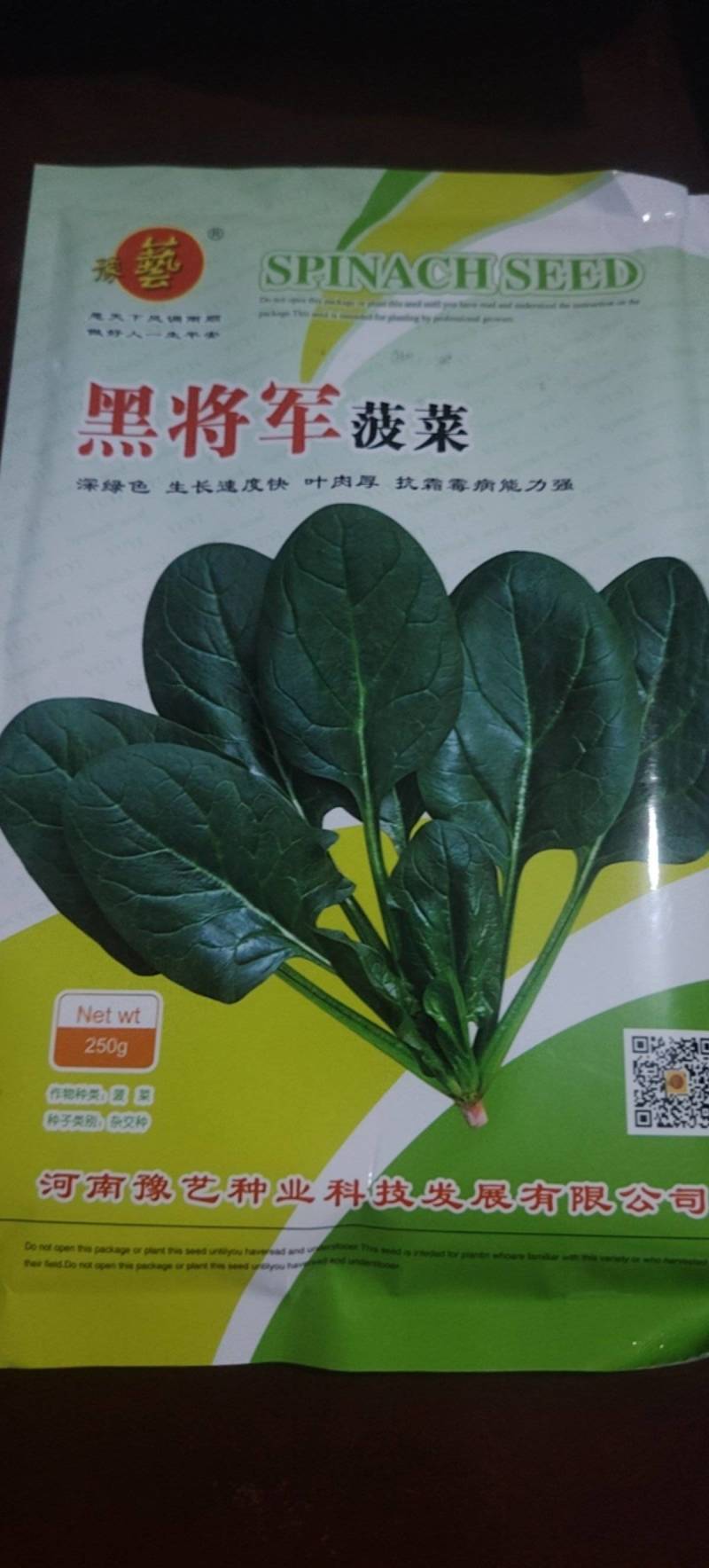 高端黑将军菠菜种子大量现货供应需要的联系支持物流发货