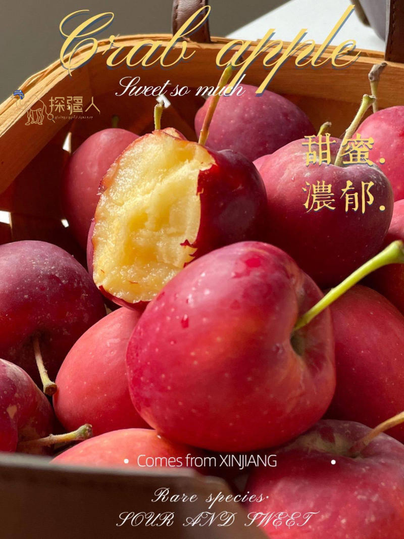新疆伊犁香妃海棠果