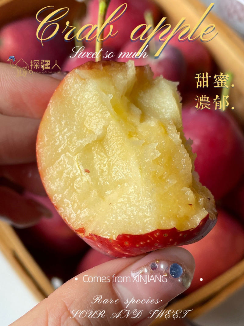 新疆伊犁香妃海棠果