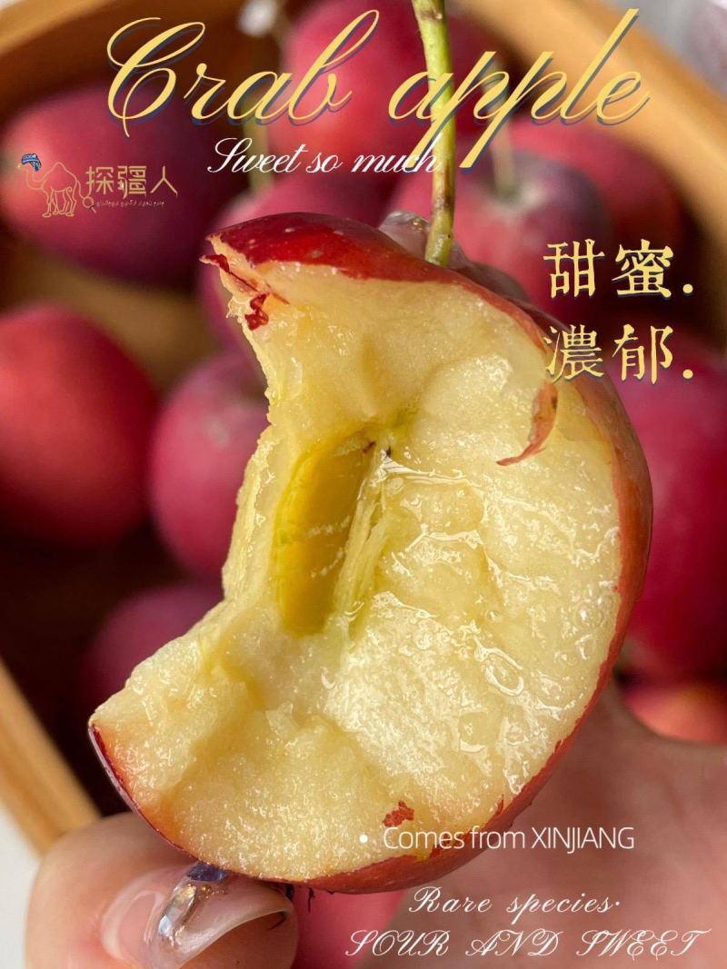 新疆伊犁香妃海棠果