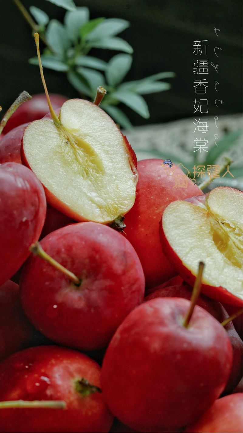 新疆伊犁香妃海棠果