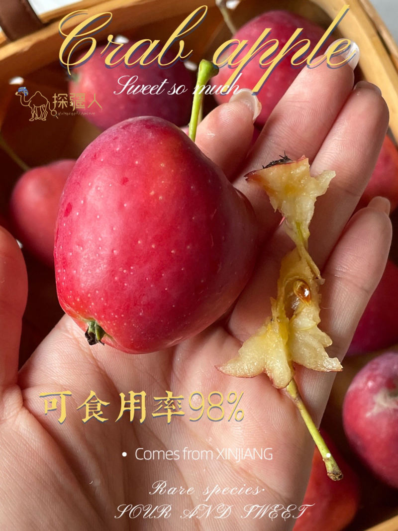 新疆伊犁香妃海棠果