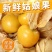 山西运城姑娘果大量上市/精品红菇娘果一手货源产地直发