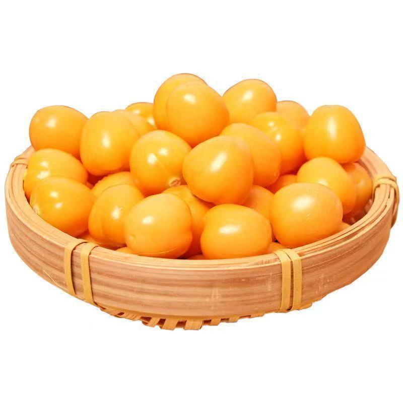山西运城姑娘果大量上市/精品红菇娘果一手货源产地直发
