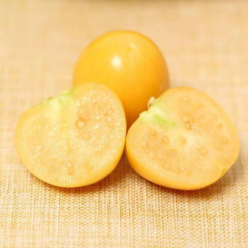 山西运城姑娘果大量上市/精品红菇娘果一手货源产地直发