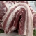 热鲜腿肉量大从优