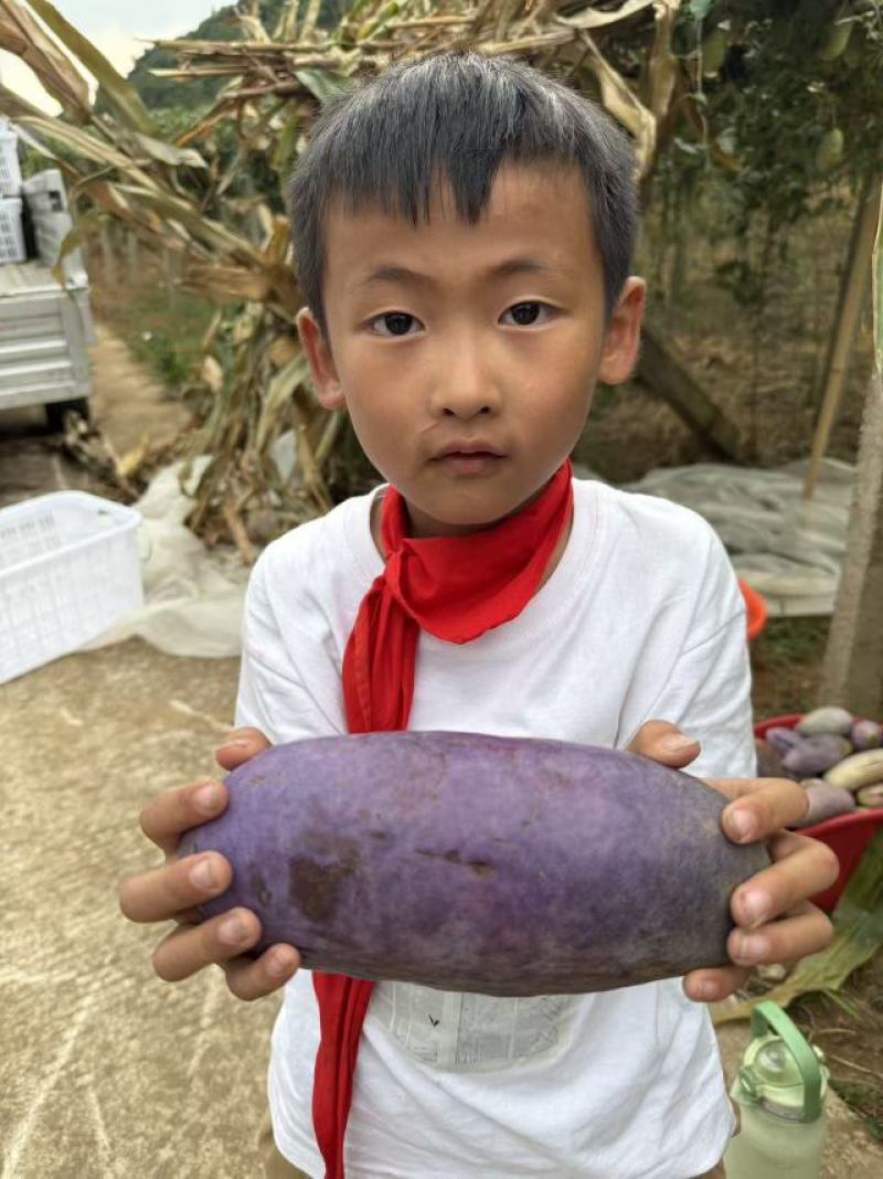 八月瓜