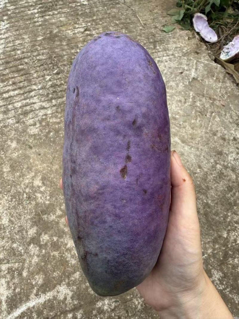 八月瓜