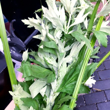 艾草批发
