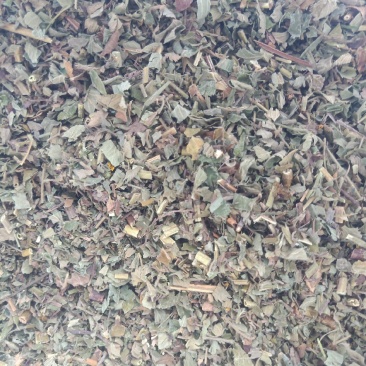 仙鹤草产地陕西，野生高含量质量保证