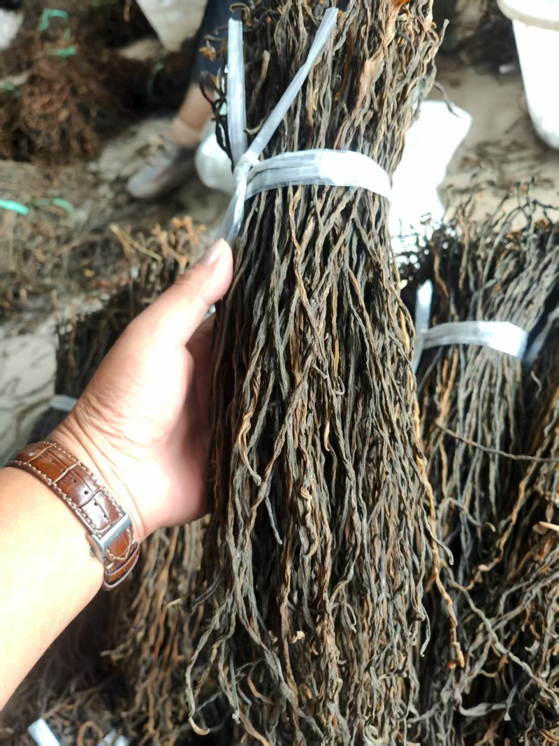 「干豆角」烘干豆角精品绿条干净无沙