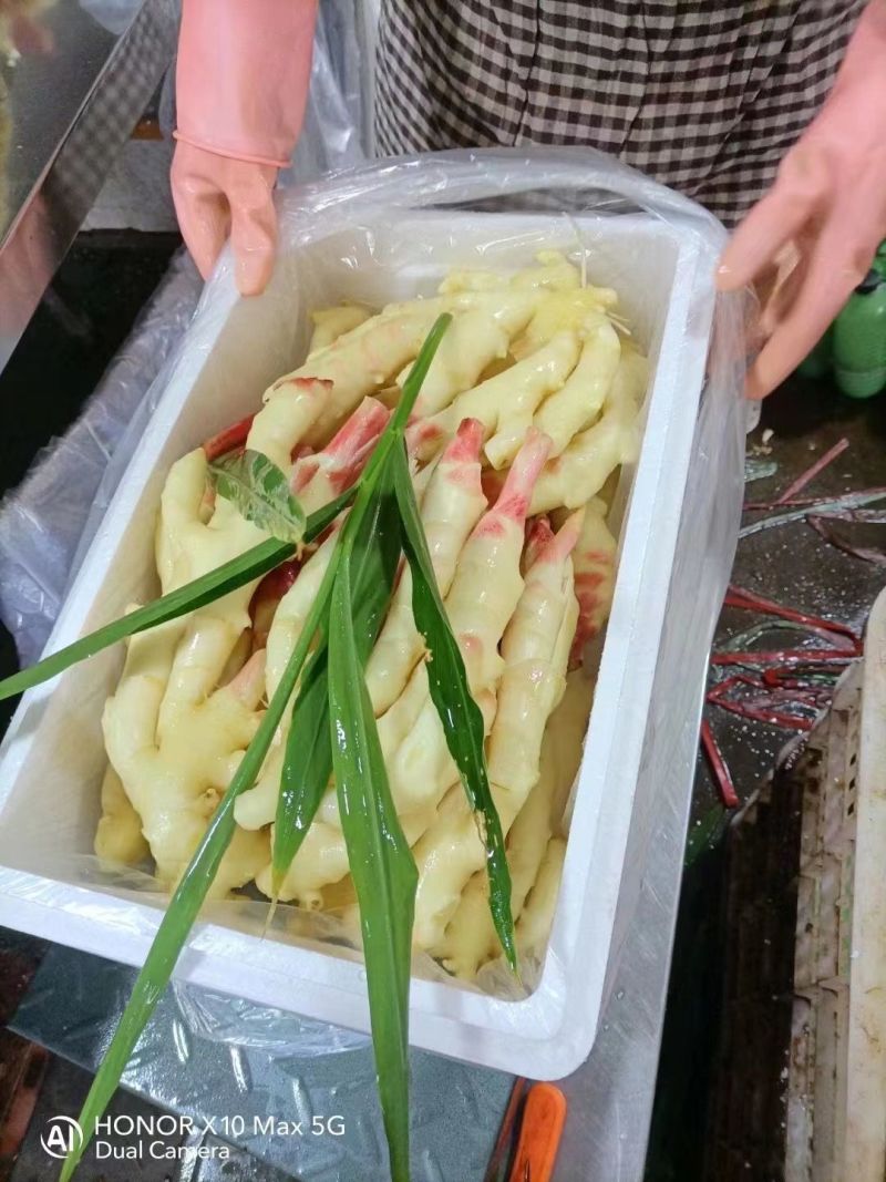 精品泥姜大黄姜水洗加工风干一体化/市场/出口/电商/