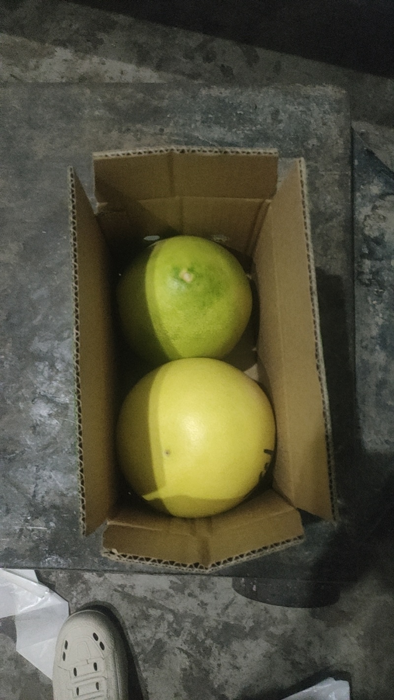 红心蜜柚