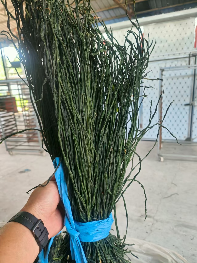 （干豆角）精品干豆角精品绿条乱条工厂直供货源充足