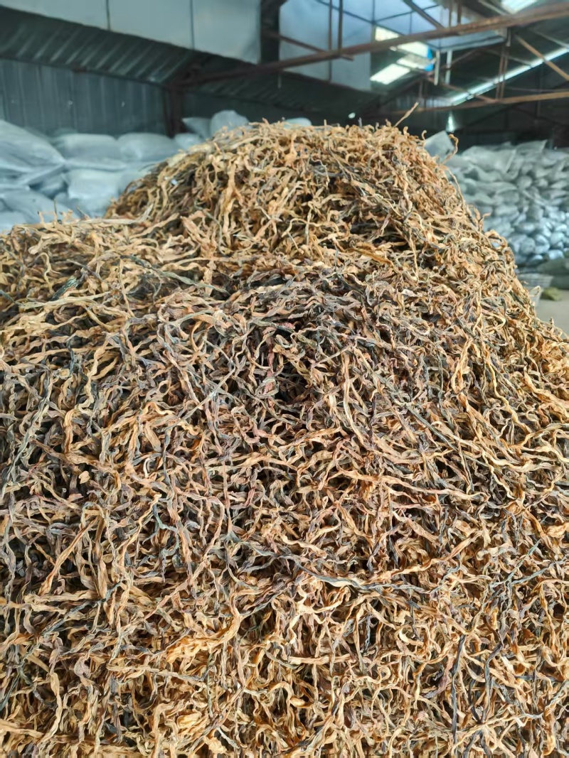 （干豆角）精品干豆角精品绿条乱条工厂直供货源充足
