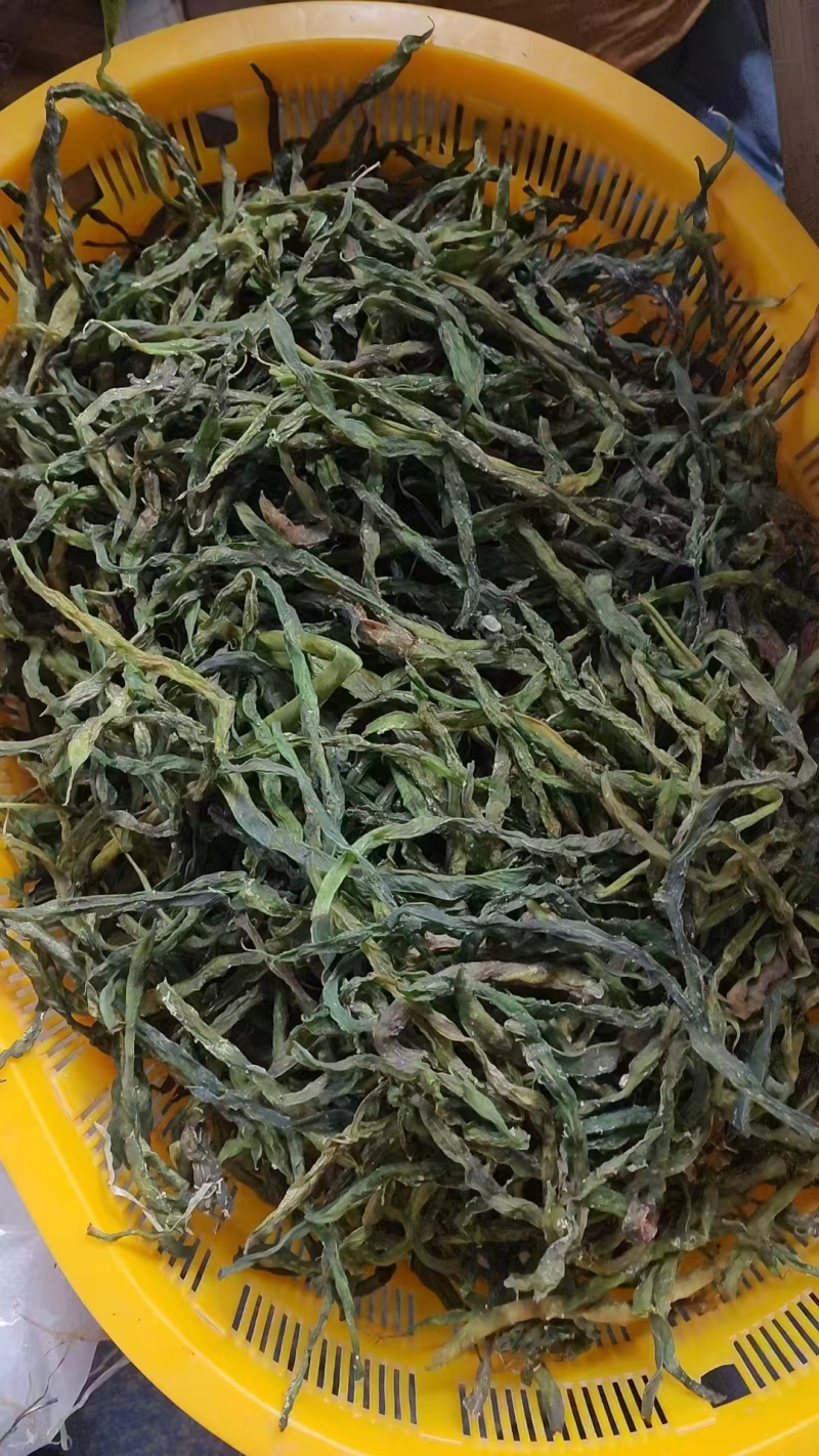 （干豆角）精品干豆角精品绿条乱条工厂直供货源充足