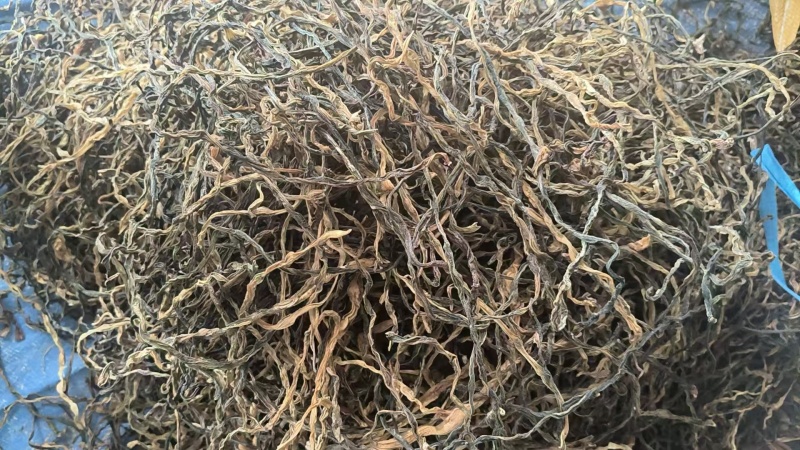 （干豆角）精品干豆角精品绿条乱条工厂直供货源充足