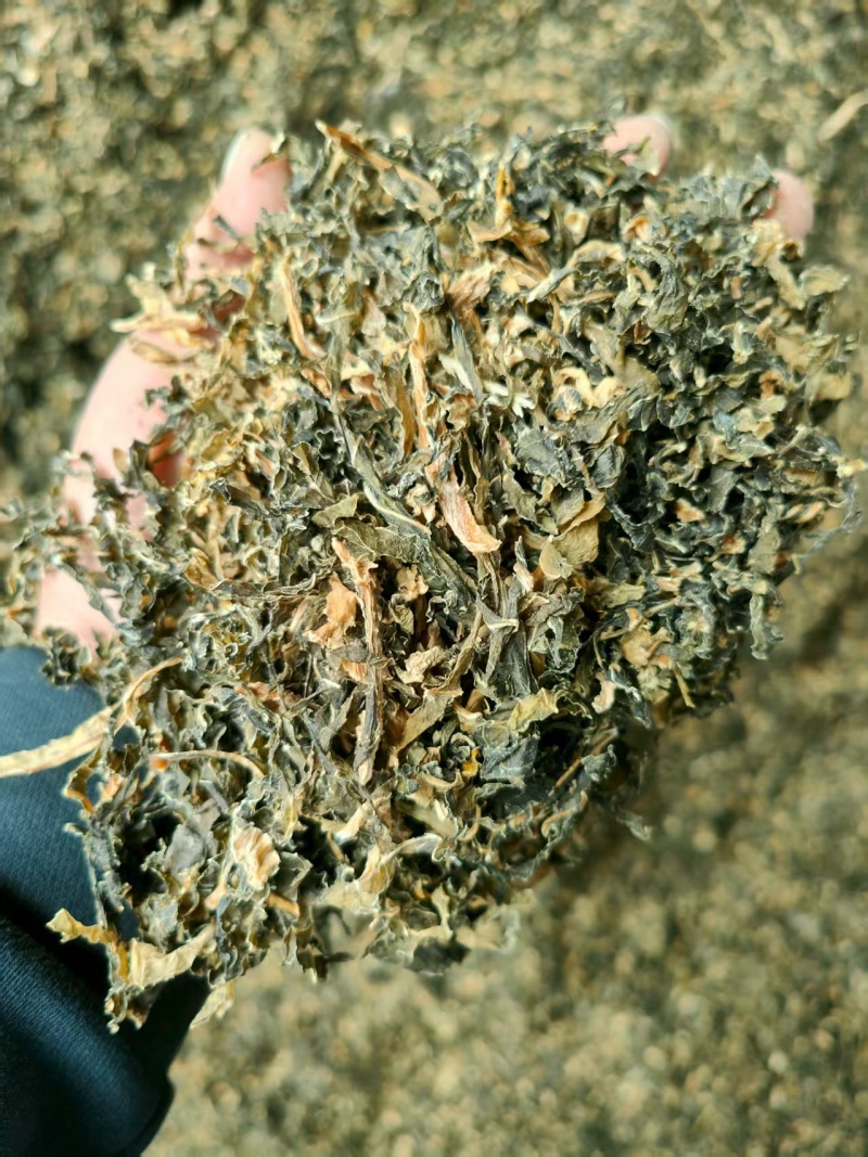 【梅干菜】精品梅干菜山东梅干菜基地直供品质保证