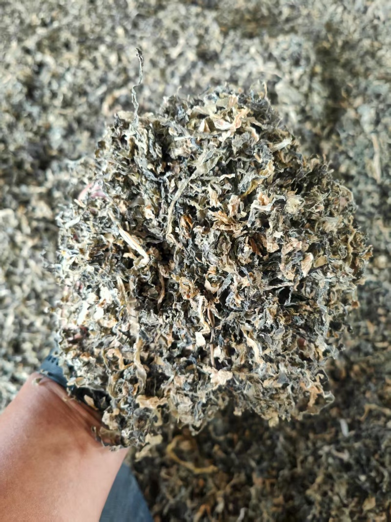 【梅干菜】精品梅干菜山东梅干菜基地直供品质保证