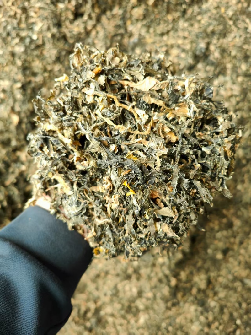 【梅干菜】精品梅干菜山东梅干菜基地直供品质保证