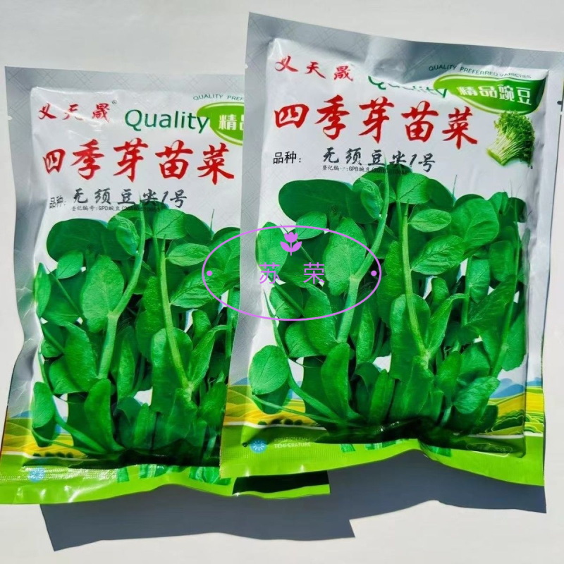 四季芽苗菜种子无须豆尖1号豌豆苗种子专吃苗柔嫩清香豌豆尖