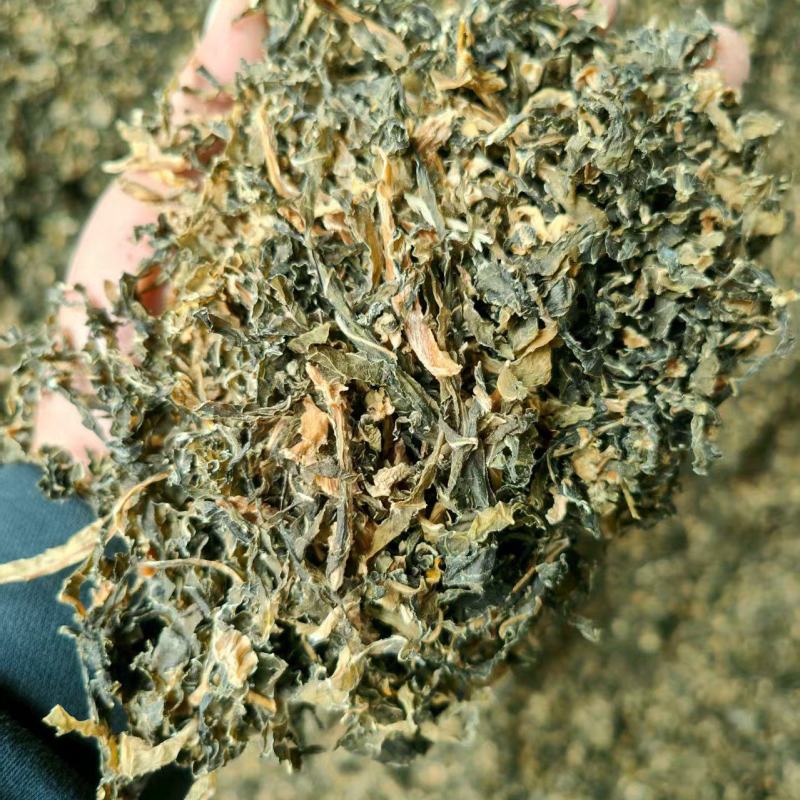 （梅干菜）精品无沙基地直供山东梅干菜质量保证