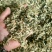 （梅干菜）精品无沙基地直供山东梅干菜质量保证