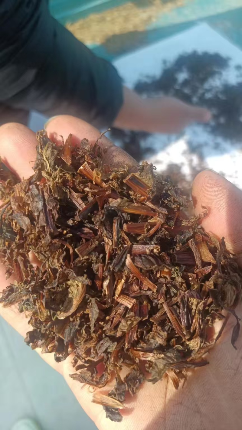 （梅干菜）精品无沙基地直供山东梅干菜质量保证